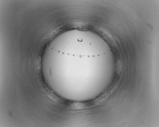 X0000115710413200911251900