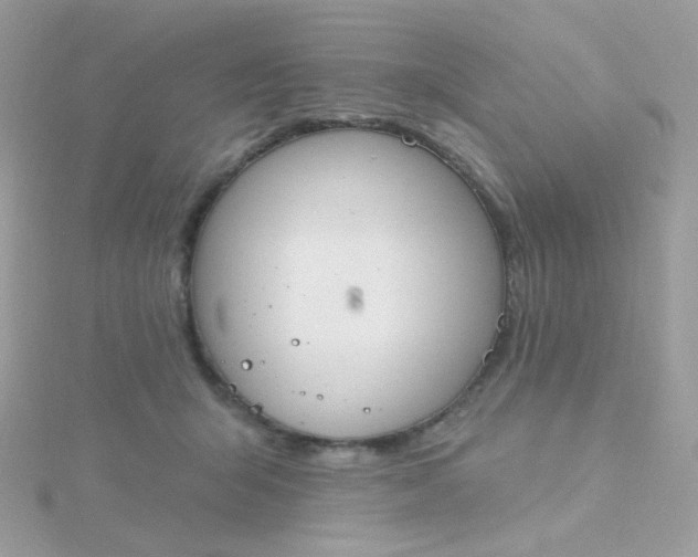 X0000115710415200911251900