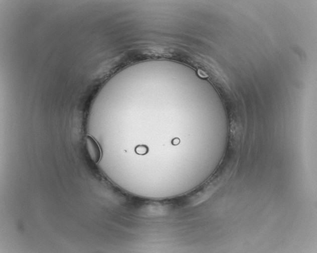 X0000115710416200911251900