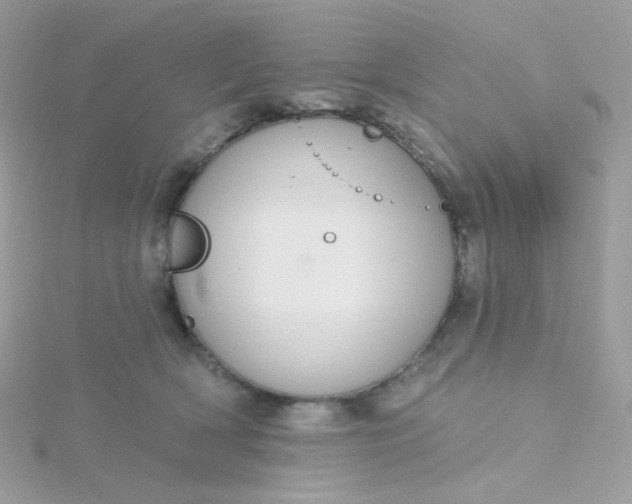 X0000115710418200911251900