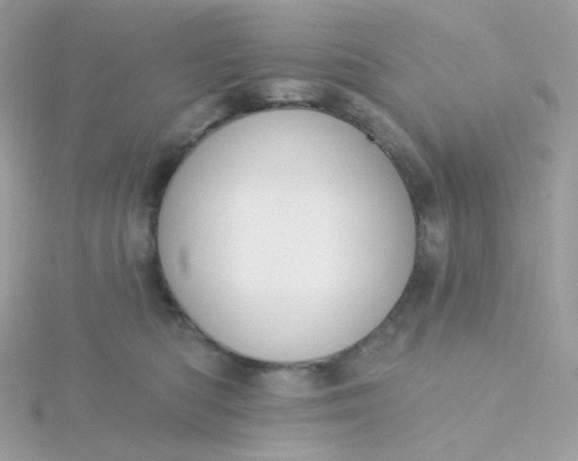 X0000115710422200911251900