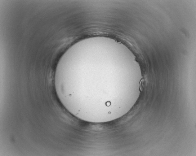 X0000115710423200911251900