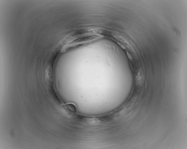 X0000115710424200911251900