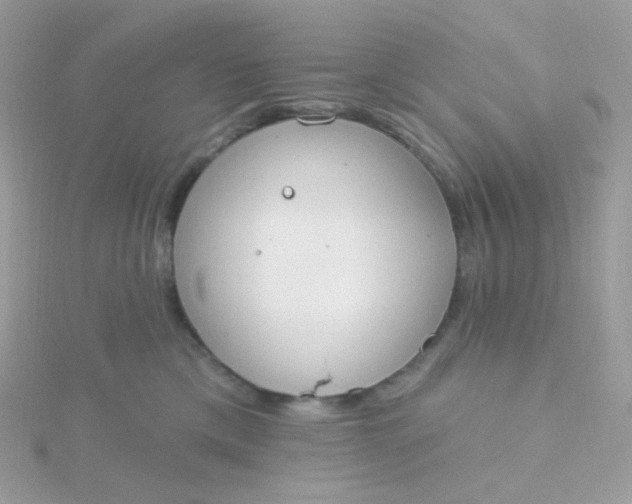 X0000115710425200911251900