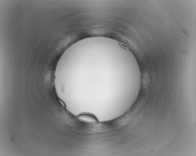 X0000115710428200911251900