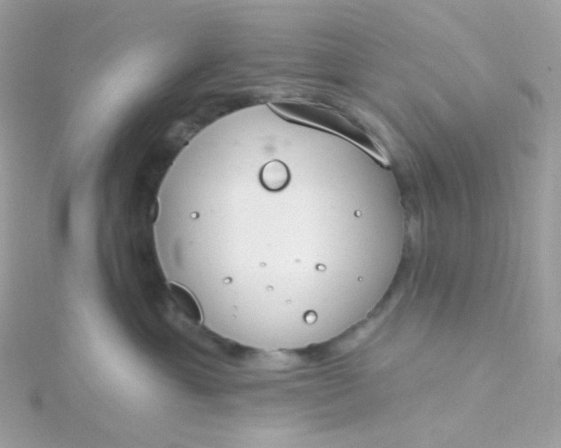 X0000115710429200911251900