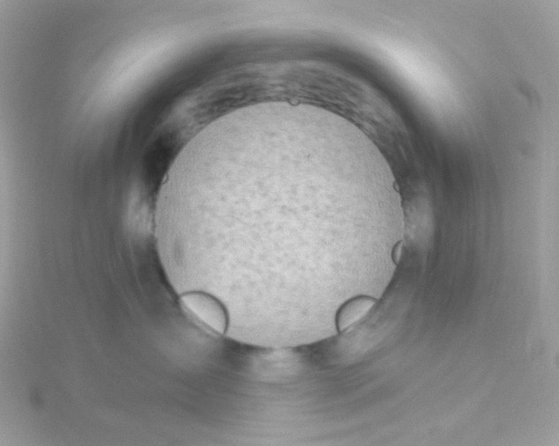 X0000115710431200911251900