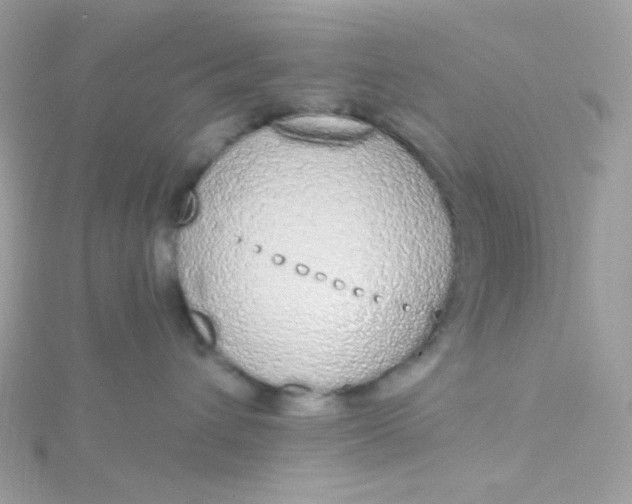 X0000115710432200911251900