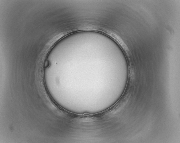 X0000115710433200911251859