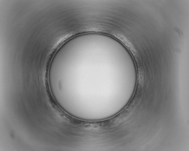 X0000115710434200911251859