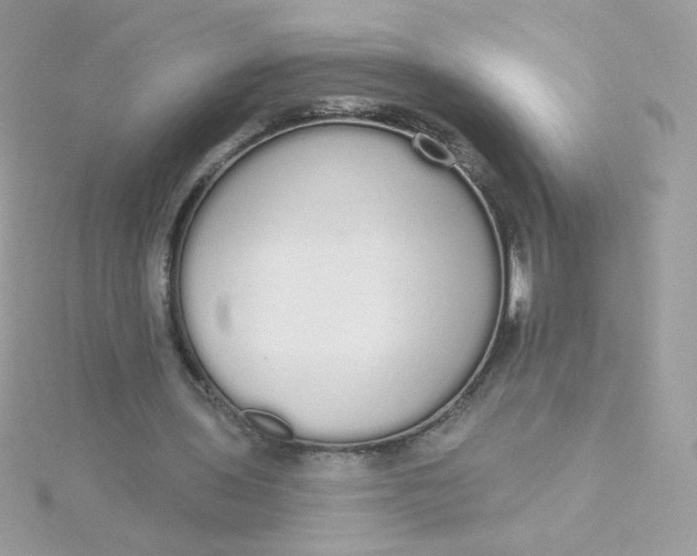 X0000115710435200911251859