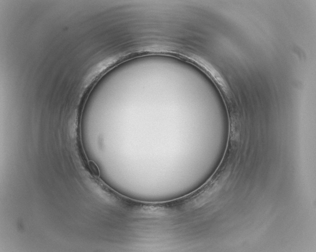 X0000115710437200911251859