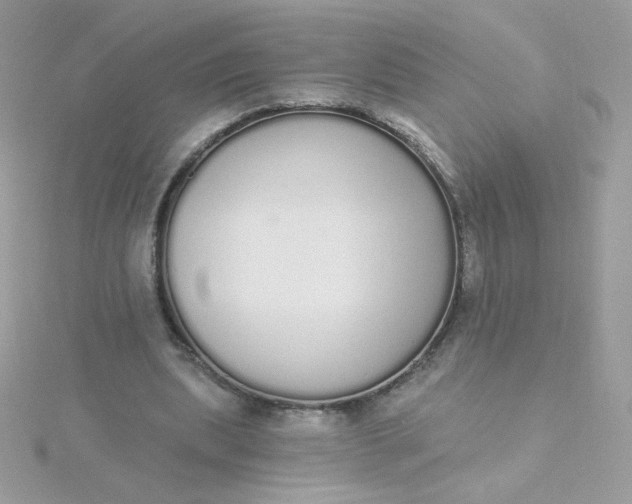 X0000115710439200911251859