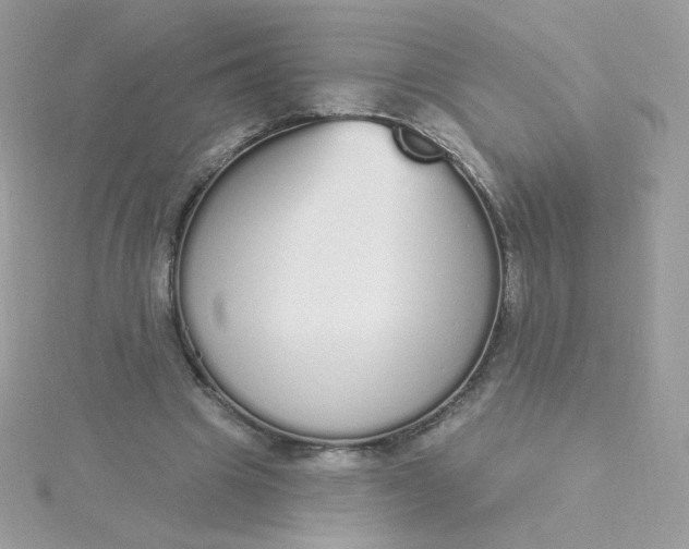 X0000115710441200911251859