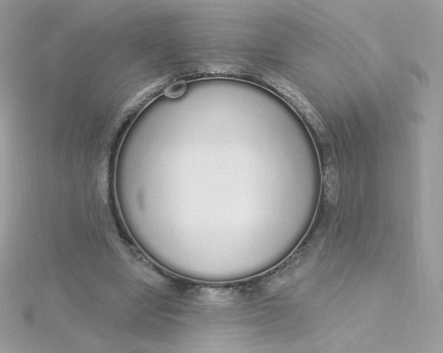 X0000115710442200911251859