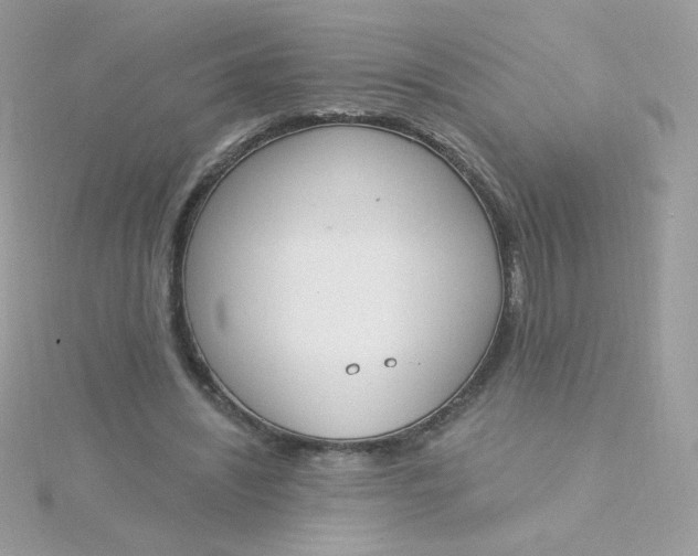 X0000115710444200911251859