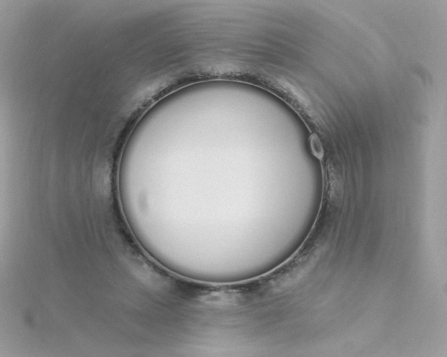 X0000115710447200911251859