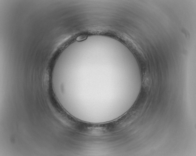 X0000115710448200911251859