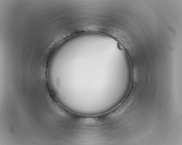 X0000115710449200911251859