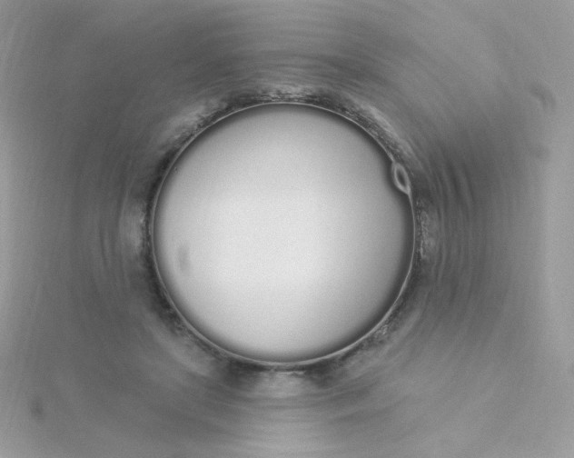 X0000115710451200911251859