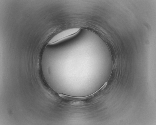 X0000115710452200911251859