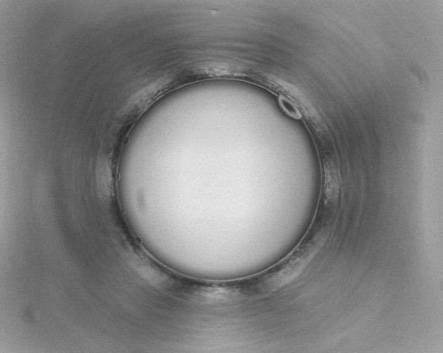 X0000115710453200911251900