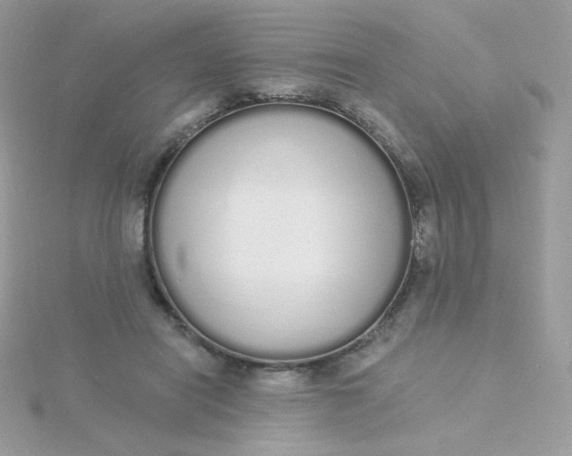 X0000115710454200911251900