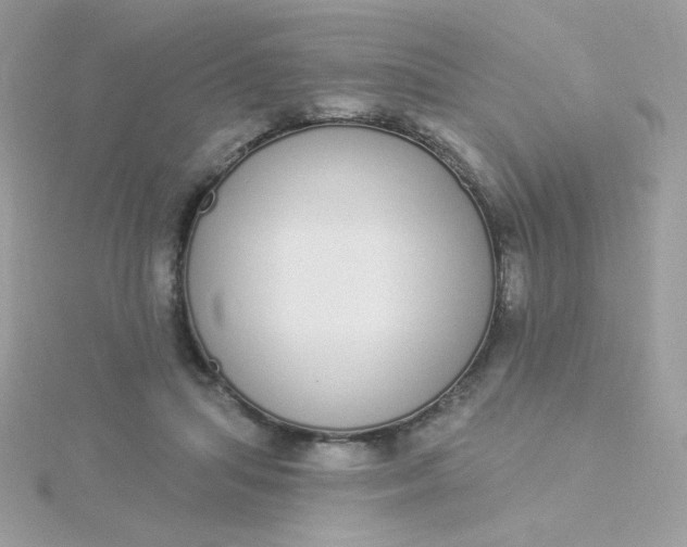 X0000115710455200911251900