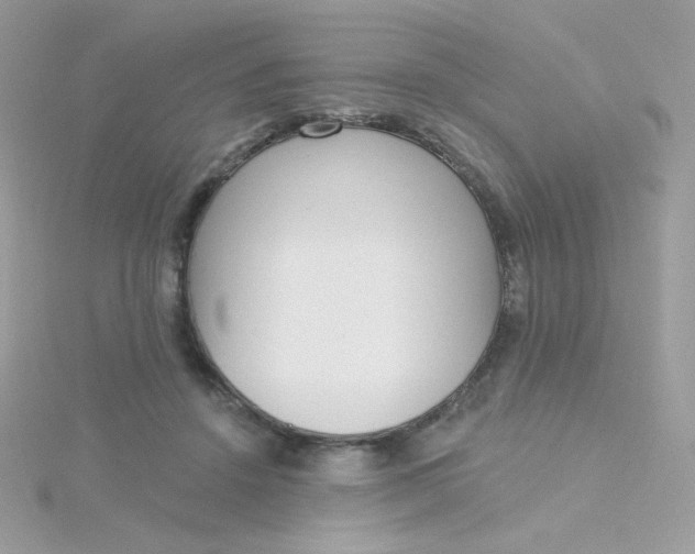 X0000115710456200911251900