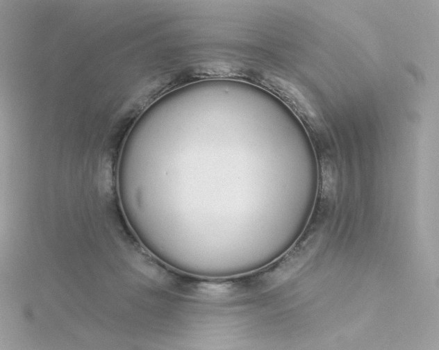 X0000115710457200911251900