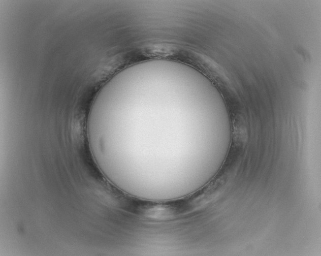 X0000115710460200911251900