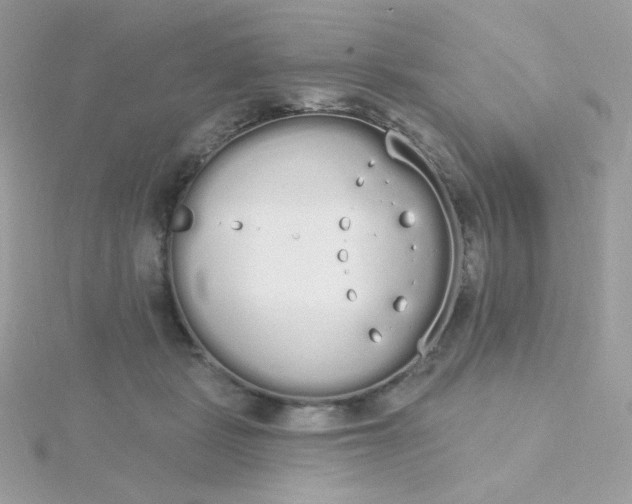 X0000115710461200911251900