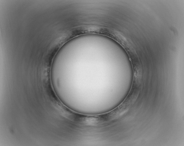 X0000115710462200911251900