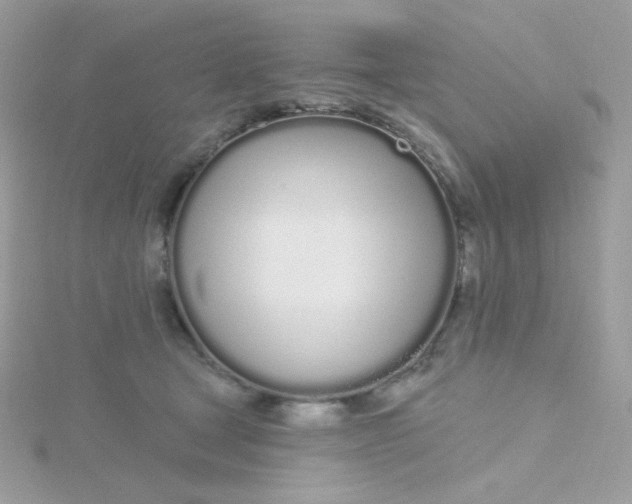 X0000115710465200911251900