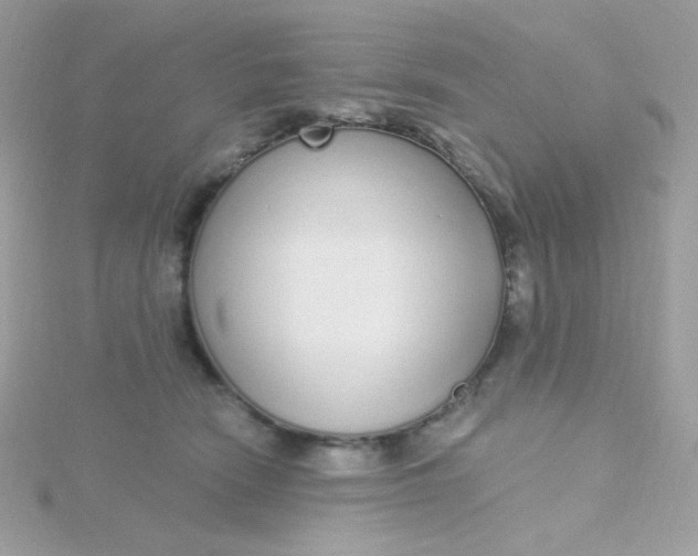 X0000115710466200911251900