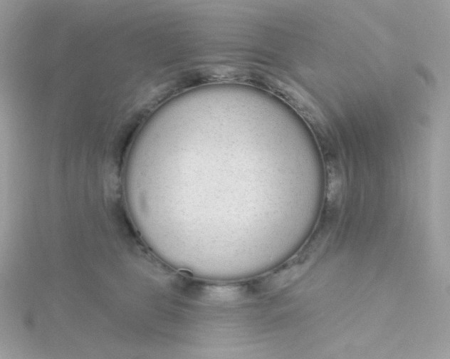 X0000115710469200911251900