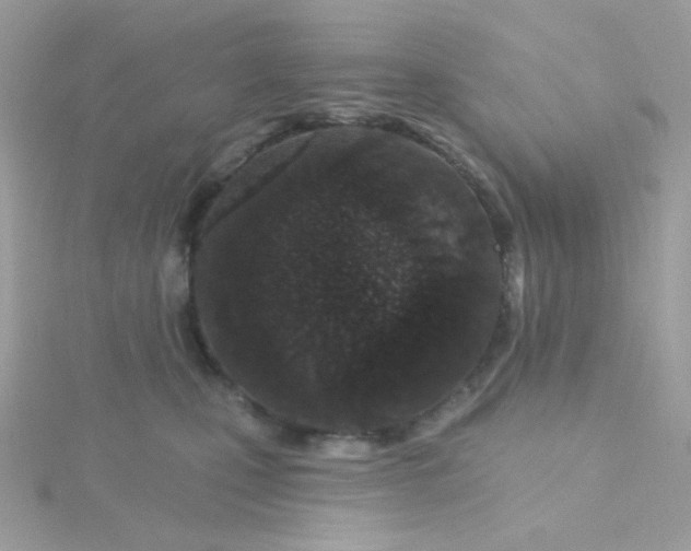 X0000115710471200911251900