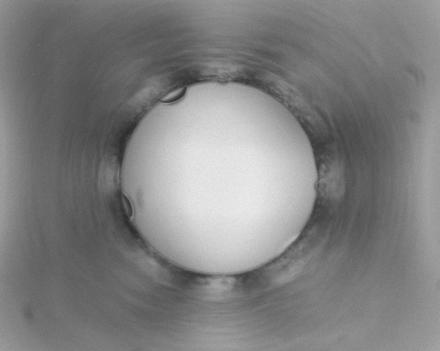 X0000115710474200911251900