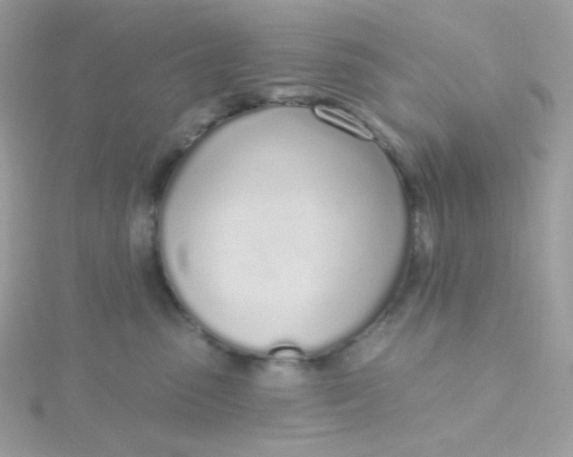 X0000115710475200911251900