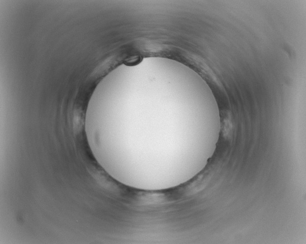 X0000115710476200911251900