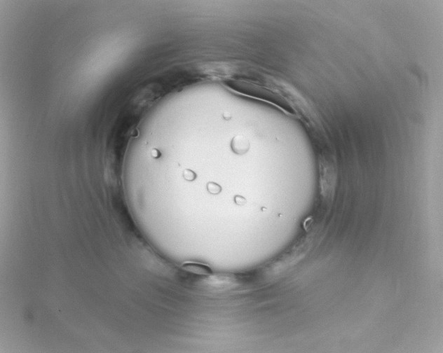 X0000115710477200911251900