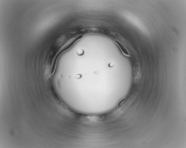 X0000115710478200911251900