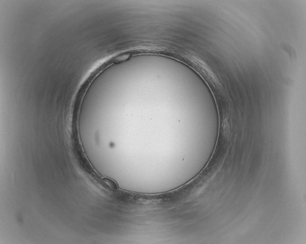 X0000115710484200911251859