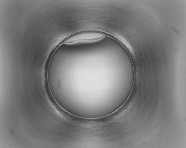 X0000115710485200911251859