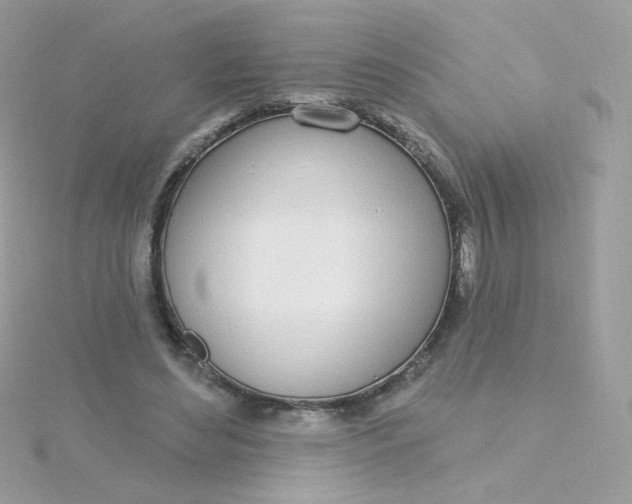 X0000115710492200911251859