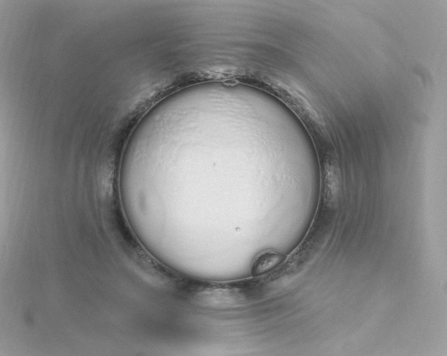 X0000115710499200911251859