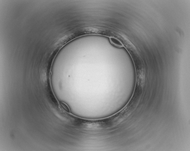 X0000115710500200911251859