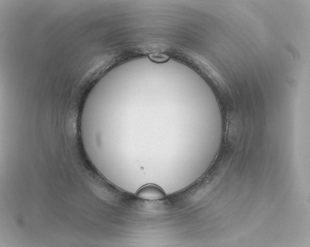 X0000115710501200911251859