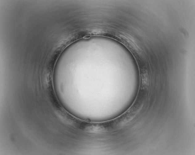 X0000115710503200911251859