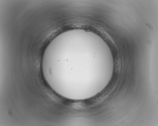 X0000115710505200911251859